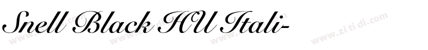 Snell Black HU Itali字体转换